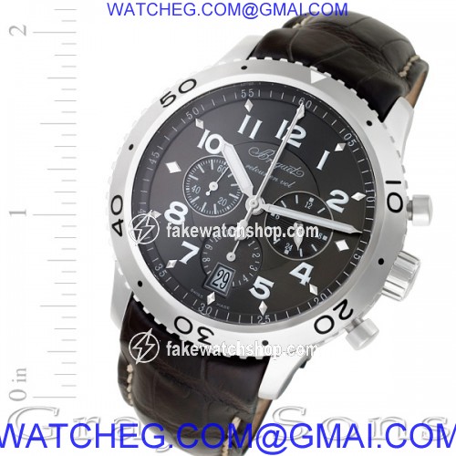 Breguet 3810 Type XXI Automatic Male Stainless Steel
