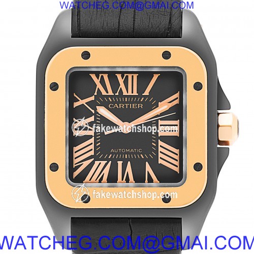 Cartier W2020007 Santos 100 Automatic Female PVD