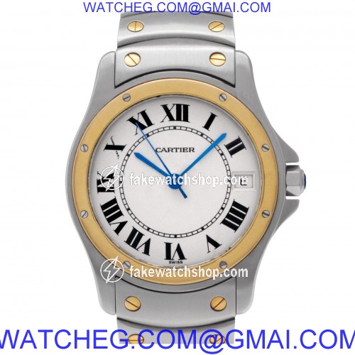 Cartier W20026R3 Santos Automatic Male Stainless Steel