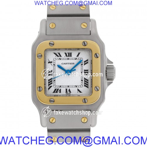 Cartier w20054d6 Santos Automatic Female Stainless Steel