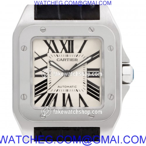 Cartier W20073X8 Santos 100 Automatic Male Stainless Steel