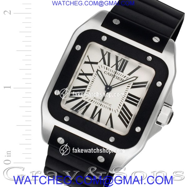 Cartier w20121u2 Santos 100 Automatic Male Stainless Steel