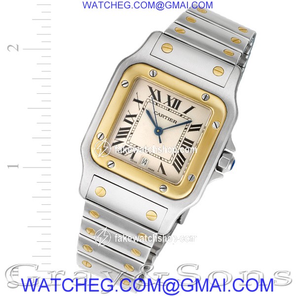 Cartier W20011C4 Santos Automatic Male Stainless Steel