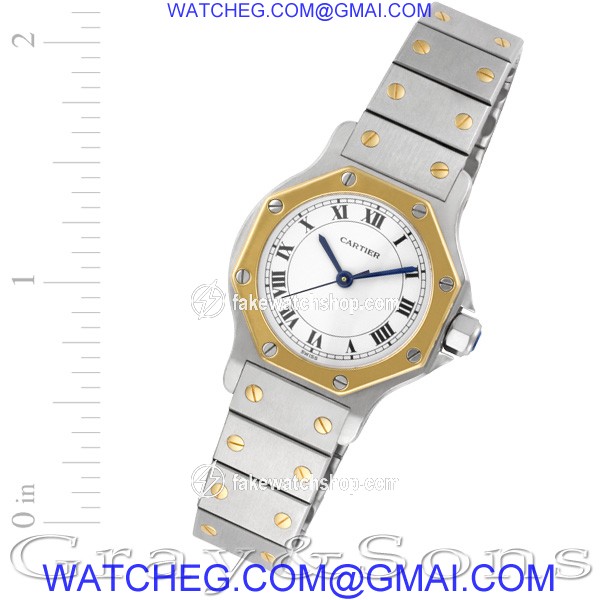 Cartier Cartier 102 Santos Automatic Female Stainless Steel