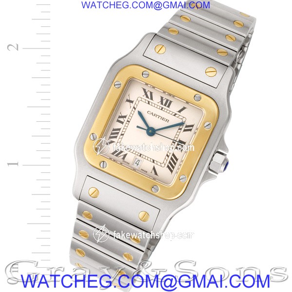 Cartier 187901 Santos Quartz Male Stainless Steel