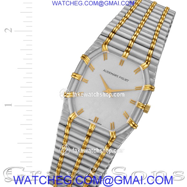 Audemars Piguet CA 56205/661 Bamboo Quartz Male 18k White Gold