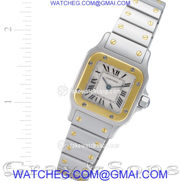 Cartier W20012C4 Santos Quartz Female Stainless Steel