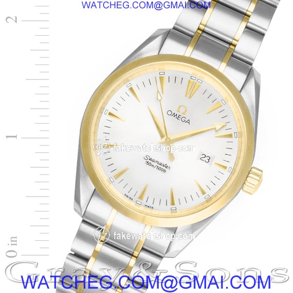 Omega 23173000 Aqua Terra Quartz Male Stainless Steel