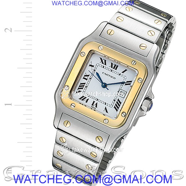 Cartier W20011C4 Santos Automatic Male Stainless Steel