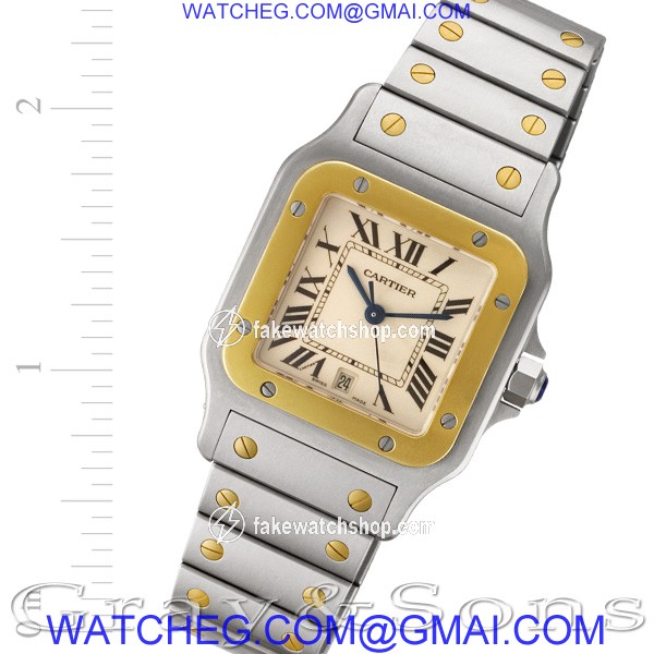 Cartier W20011C4 Santos Quartz Male Stainless Steel