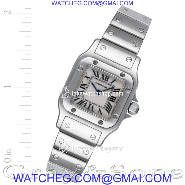 Cartier W20056D6 Santos Quartz Female Stainless Steel