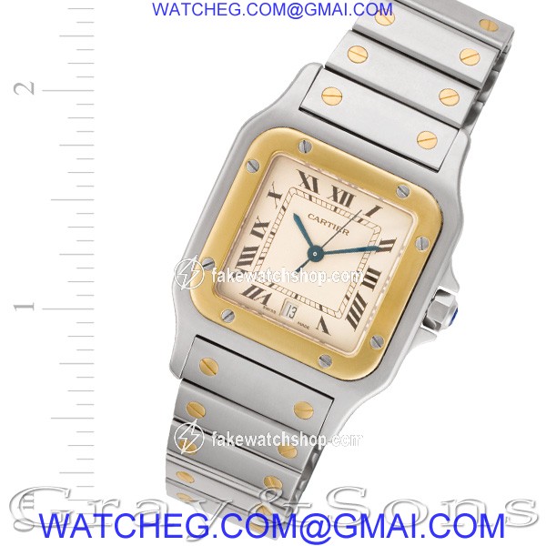 Cartier W20011C4 Santos Quartz Male Stainless Steel