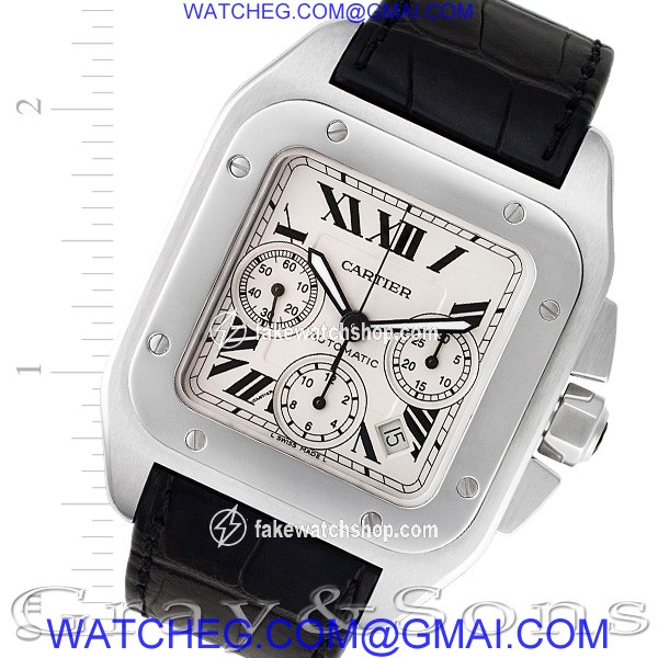 Cartier W2090X8 Santos 100 Automatic Male Stainless Steel