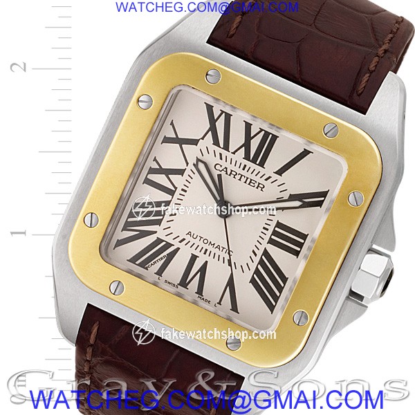 Cartier W20072X7 Santos 100 Automatic Male 18k gold & Stainless Steel
