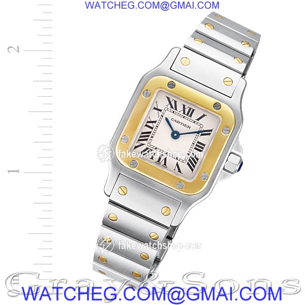 Cartier W20012C4 Santos Quartz Female Stainless Steel