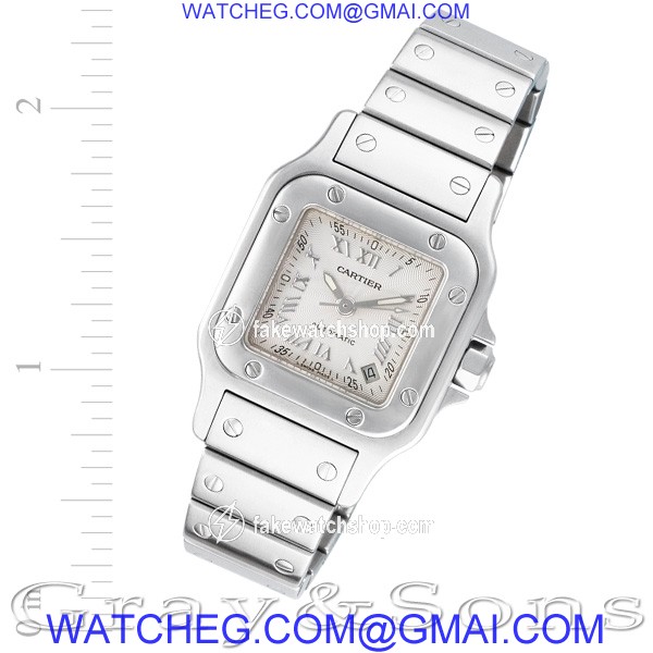 Cartier w20054d6 Santos Automatic Female Stainless Steel