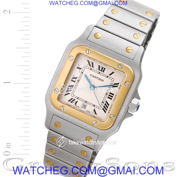Cartier W20011C4 Santos Quartz Male Stainless Steel
