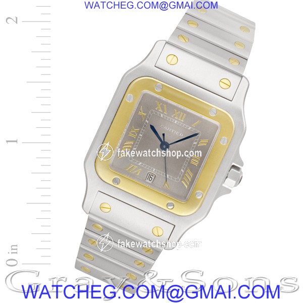 Cartier w20011c4 Santos Quartz Male Stainless Steel