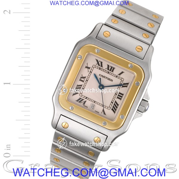 Cartier W20058C4 Santos Automatic Male Stainless Steel