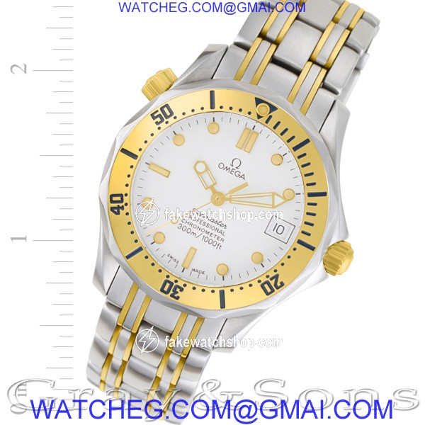 Omega 49637113 Seamaster Automatic Male Stainless Steel