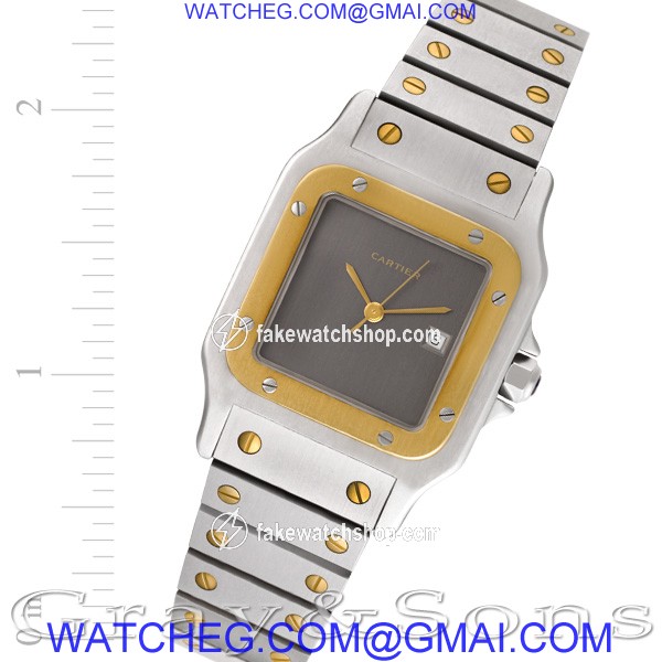 Cartier w20058c4 Santos Automatic Male Stainless Steel