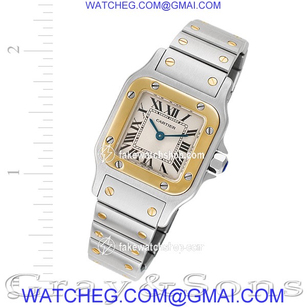 Cartier W20012C4 Santos Quartz Female Stainless Steel
