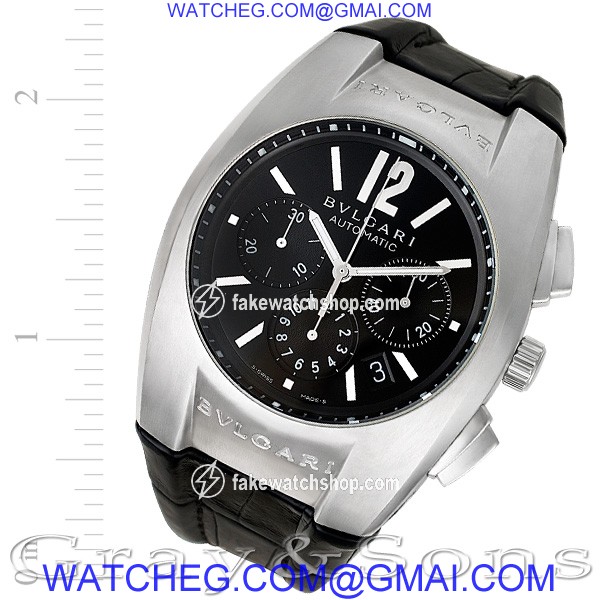 Bvlgari eg40sch Ergon Automatic Male Stainless Steel