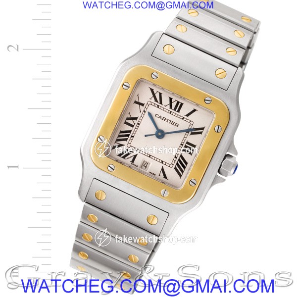 Cartier W20011C4 Santos Quartz Male Stainless Steel