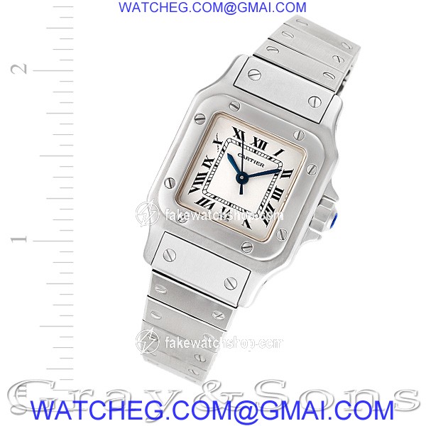 Cartier w20054d6 Santos Automatic Female Stainless Steel