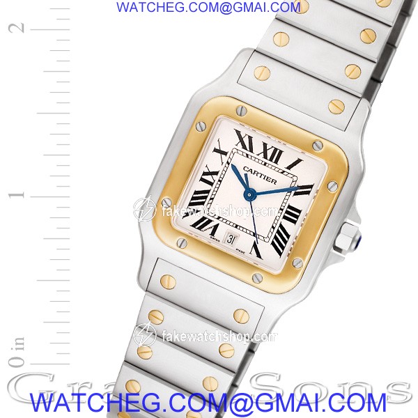 Cartier W20011C4 Santos Quartz Male Stainless Steel