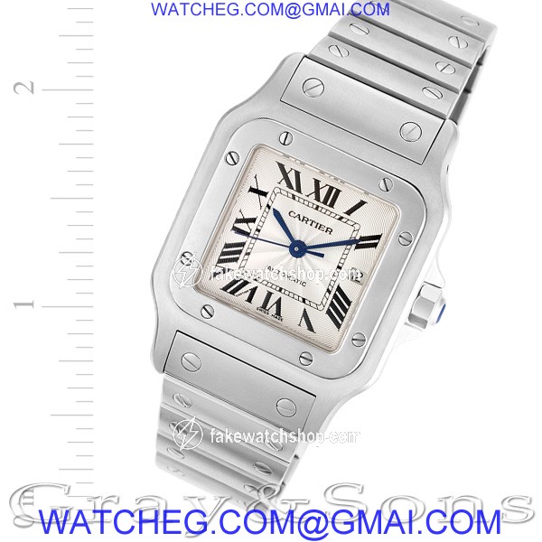 Cartier W20055D6 Santos Automatic Male Stainless Steel