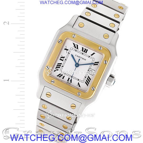 Cartier W20058C4 Santos Automatic Male Stainless Steel