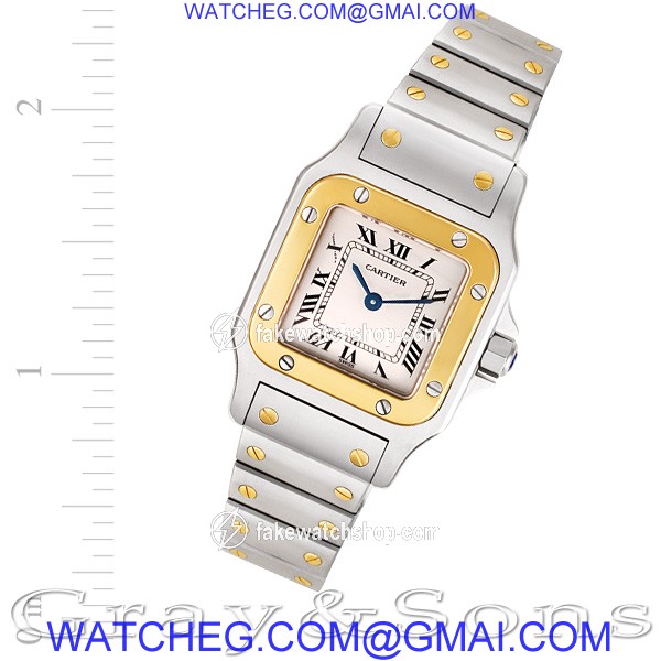 Cartier W20012C4 Santos Quartz Female Stainless Steel