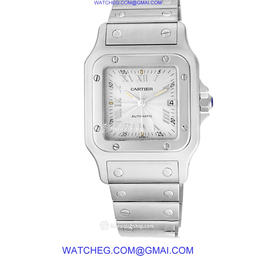 Cartier W20055D6 Santos Automatic Male Stainless Steel