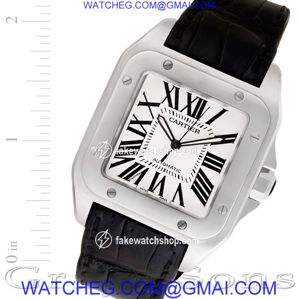 Cartier W20073X8 Santos 100 Automatic Male Stainless Steel