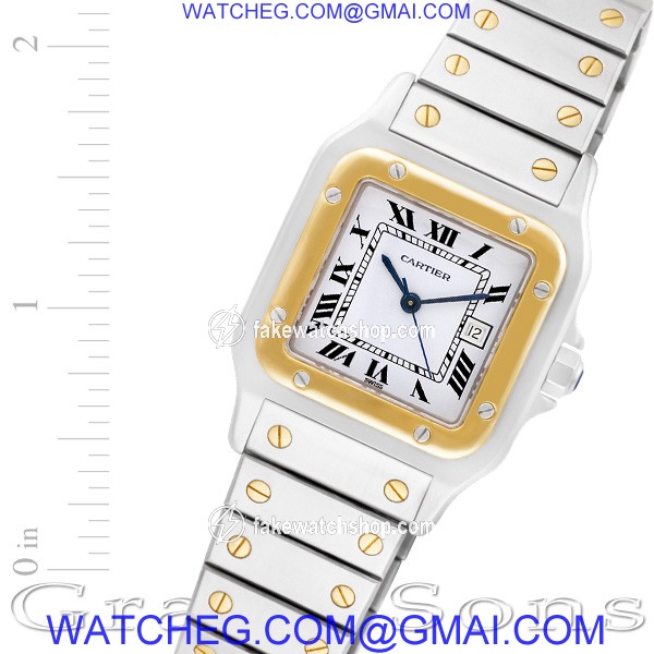 Cartier W20058C4 Santos Automatic Male Stainless Steel