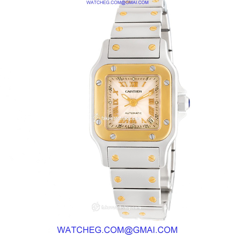 Cartier W20011C4 Santos Automatic Female Stainless Steel