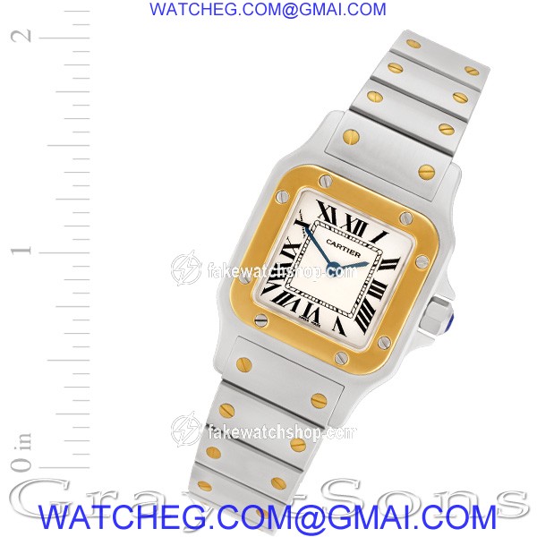 Cartier W20012C4 Santos Quartz Female Stainless Steel