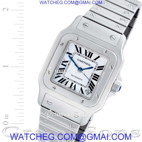 Cartier W20098D6 Santos Automatic Male Stainless Steel