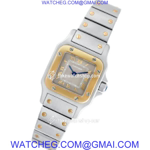 Cartier w20012c4 Santos Quartz Female Stainless Steel