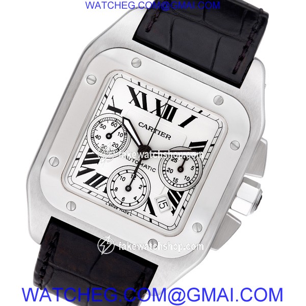 Cartier w2090x8 Santos 100 Automatic Male Stainless Steel