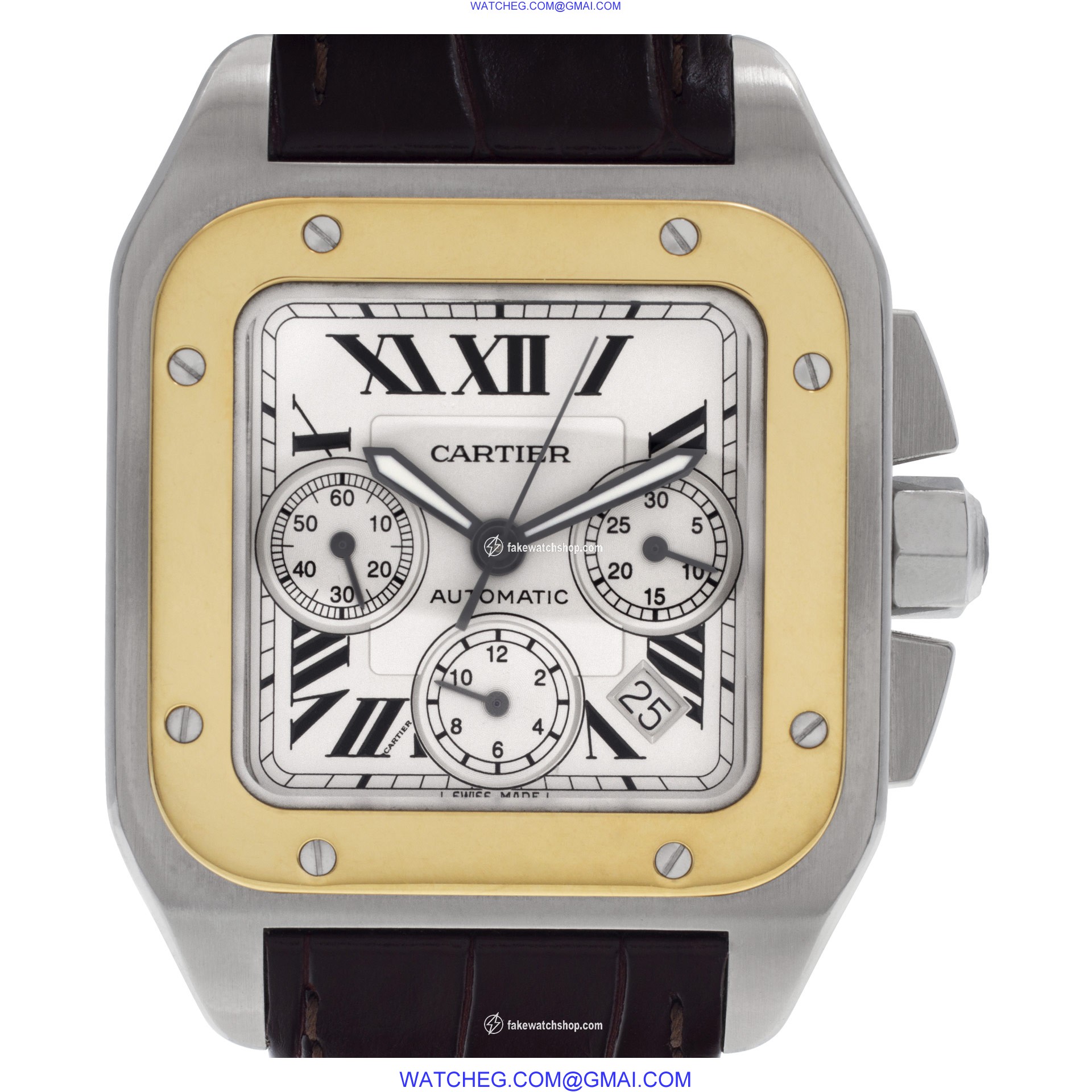 Cartier W20091X7 Santos 100 Automatic Male Stainless Steel