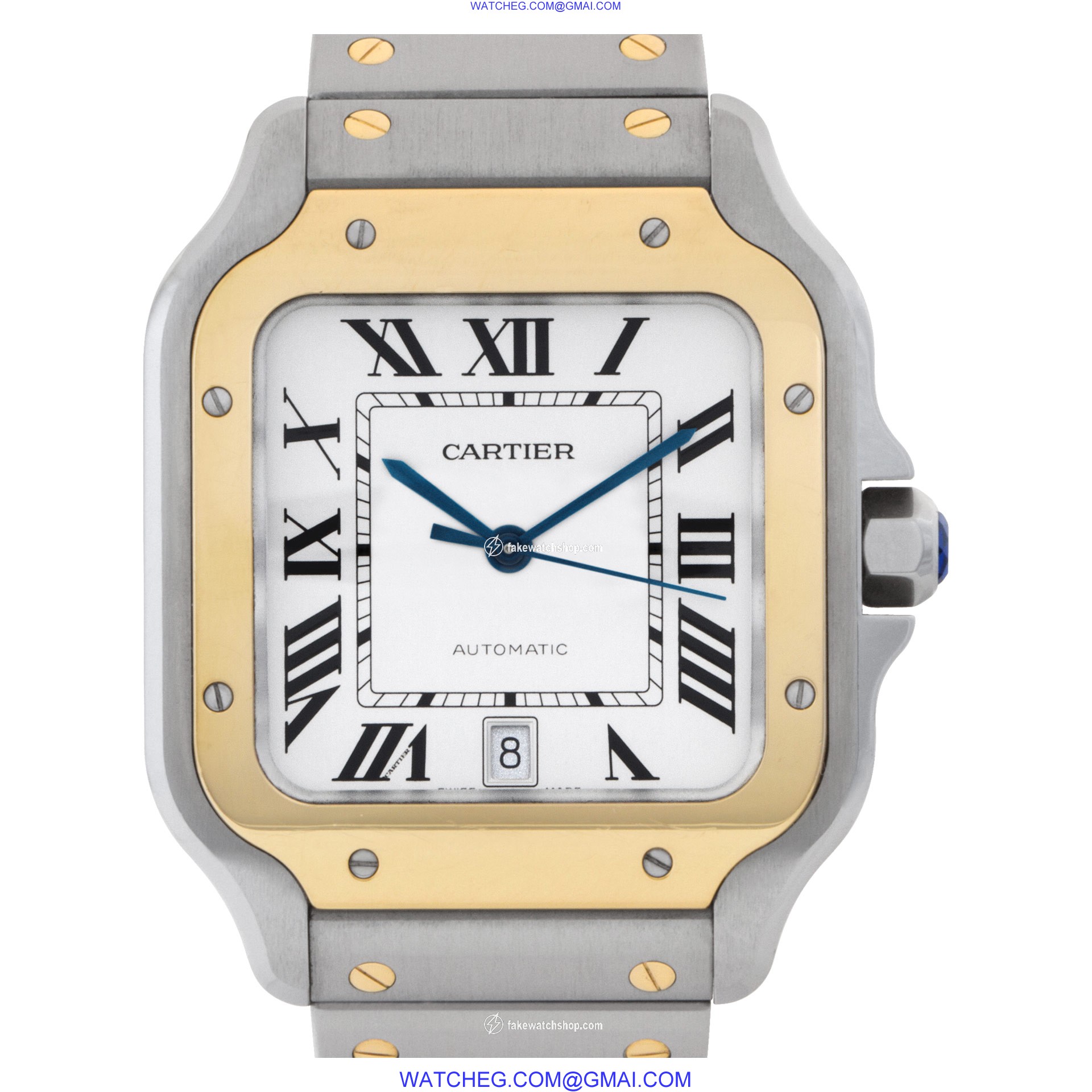 Cartier W2SA0006 Santos Automatic Male Stainless Steel