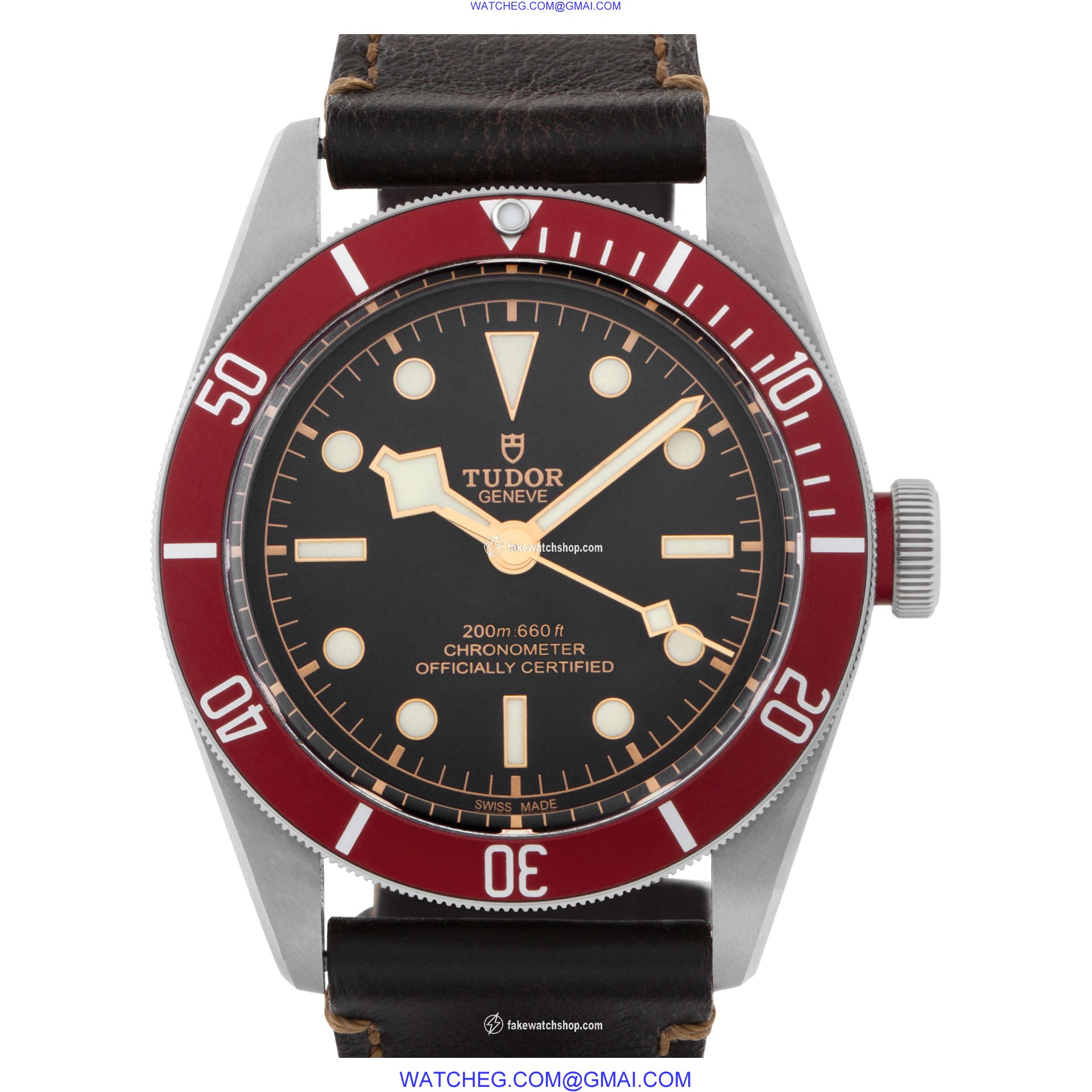 Tudor 79230r black bay Automatic Male Stainless Steel