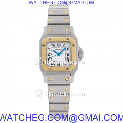 Cartier w20054d6 Santos Automatic Female Stainless Steel 2