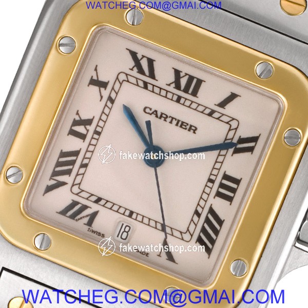 Cartier W20058C4 Santos Automatic Male Stainless Steel 2