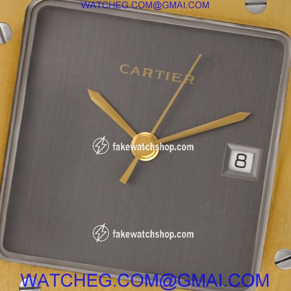 Cartier w20058c4 Santos Automatic Male Stainless Steel 2