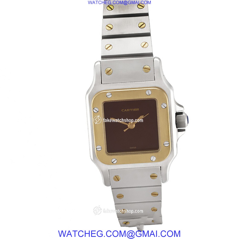 Cartier w20057c4 Santos Automatic Female Stainless Steel 2