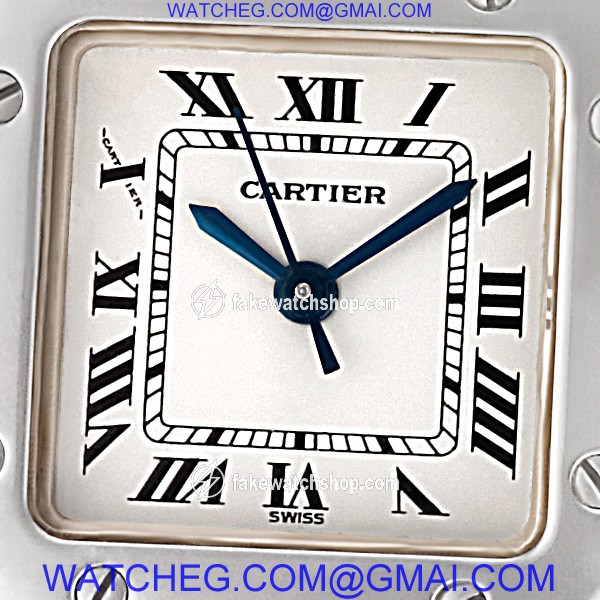 Cartier w20054d6 Santos Automatic Female Stainless Steel 2
