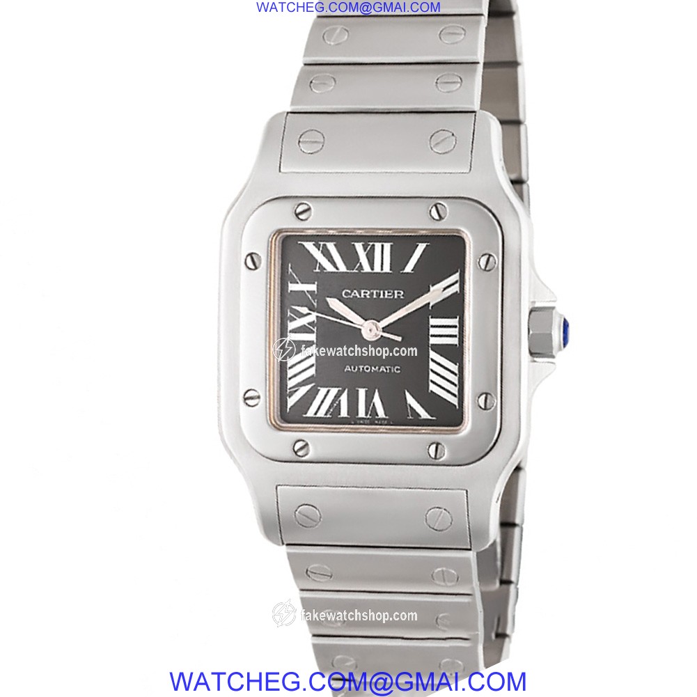 Cartier W20060D6 Santos Automatic Male Stainless Steel 2